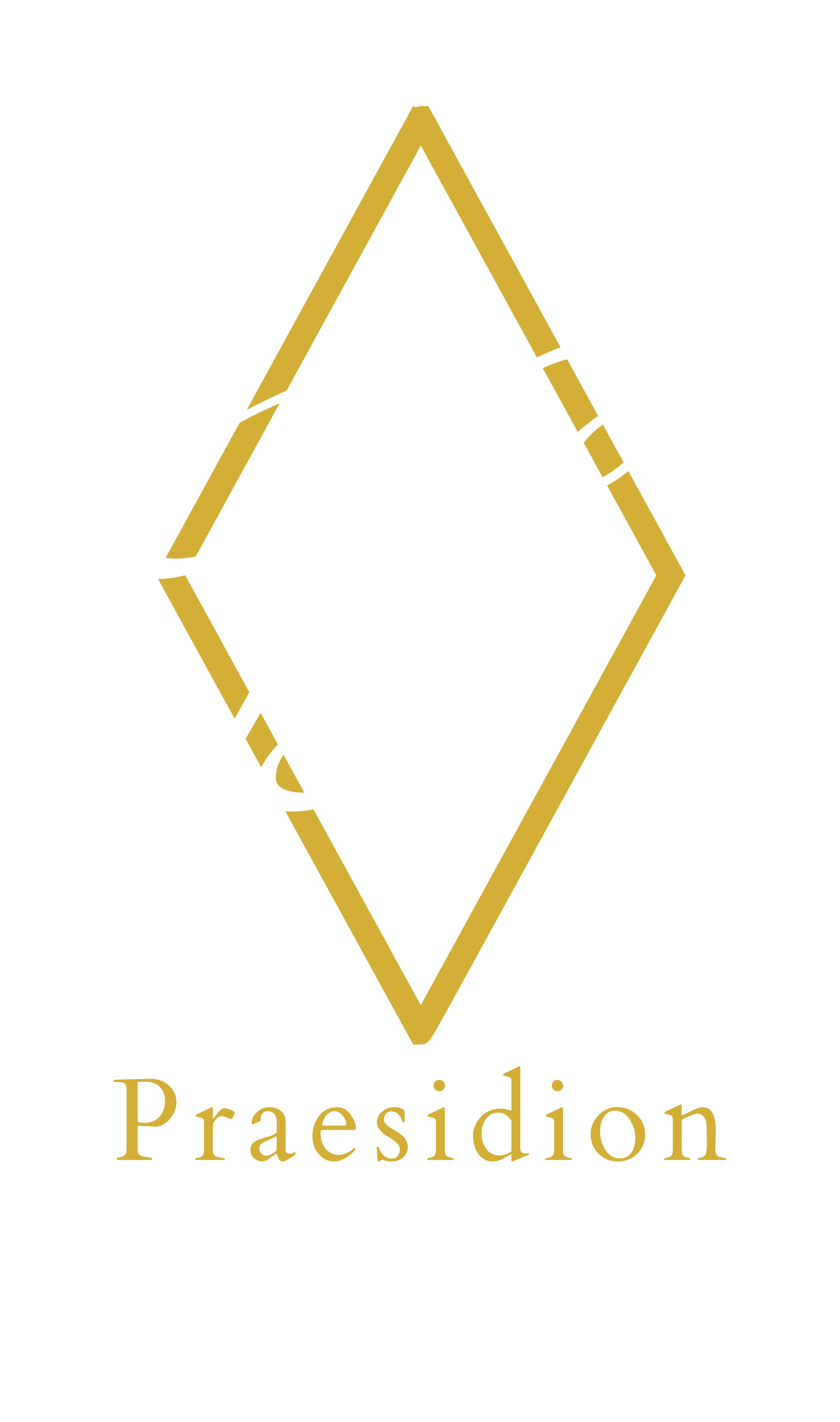 Praesidion Security B.V.